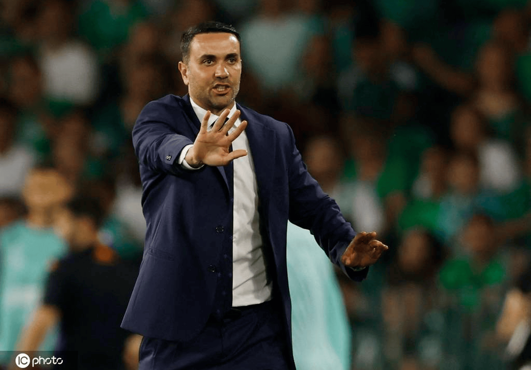 od体育在线登录-关于佛罗伦萨新人崭露头角，备受青睐的信息