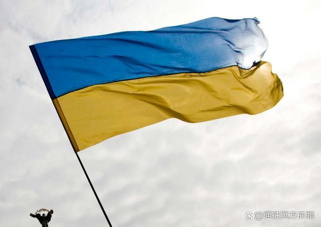 od体育培训-乌克兰队虽占上风，瑞士不屈不挠的简单介绍